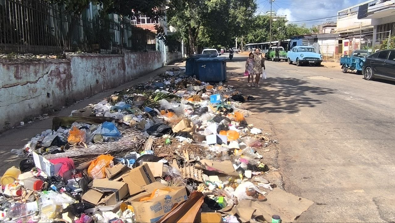 Oasis de limpieza en Línea, montañas de basura en las calles vecinas