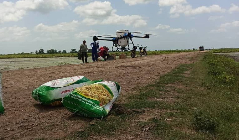 Emplean drones en Granma para sembrar arroz, aunque la cosecha es mínima