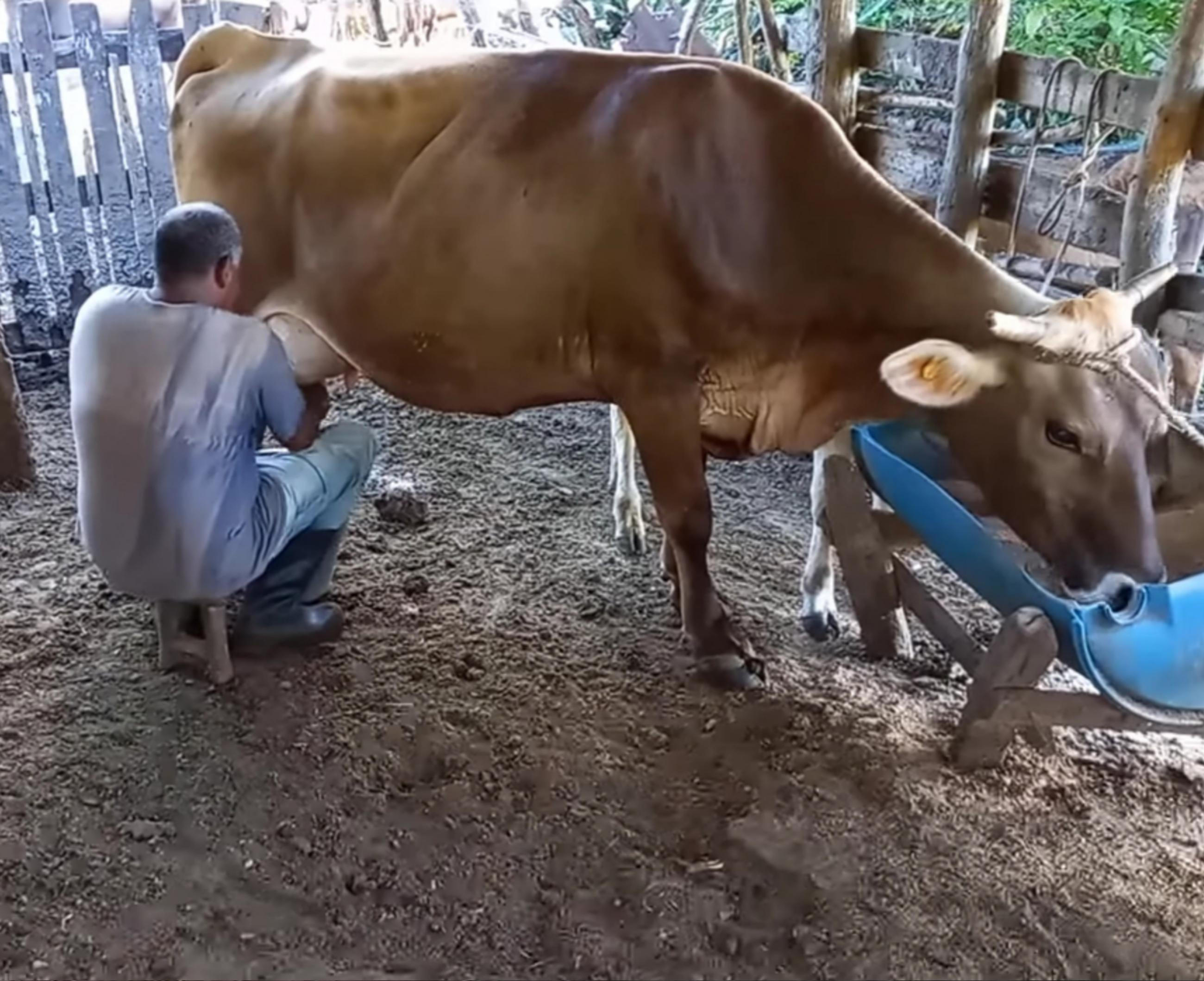 Acopio pierde su monopolio, pero el Estado conserva el control parcial de la venta de productos agrícolas