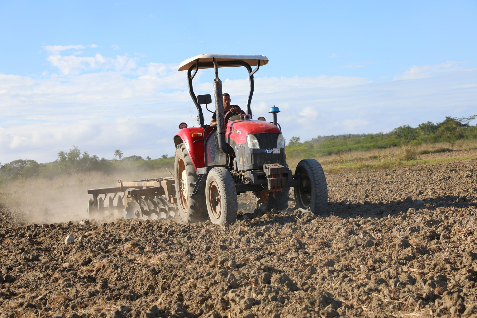 En Guantánamo aseguran que cuadriplicarán la cosecha de arroz, en medio del asedio petrolero