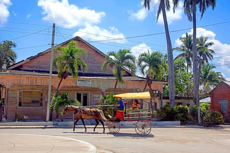 They find in the tunas the body of a teenager the day after finding his brother hanged