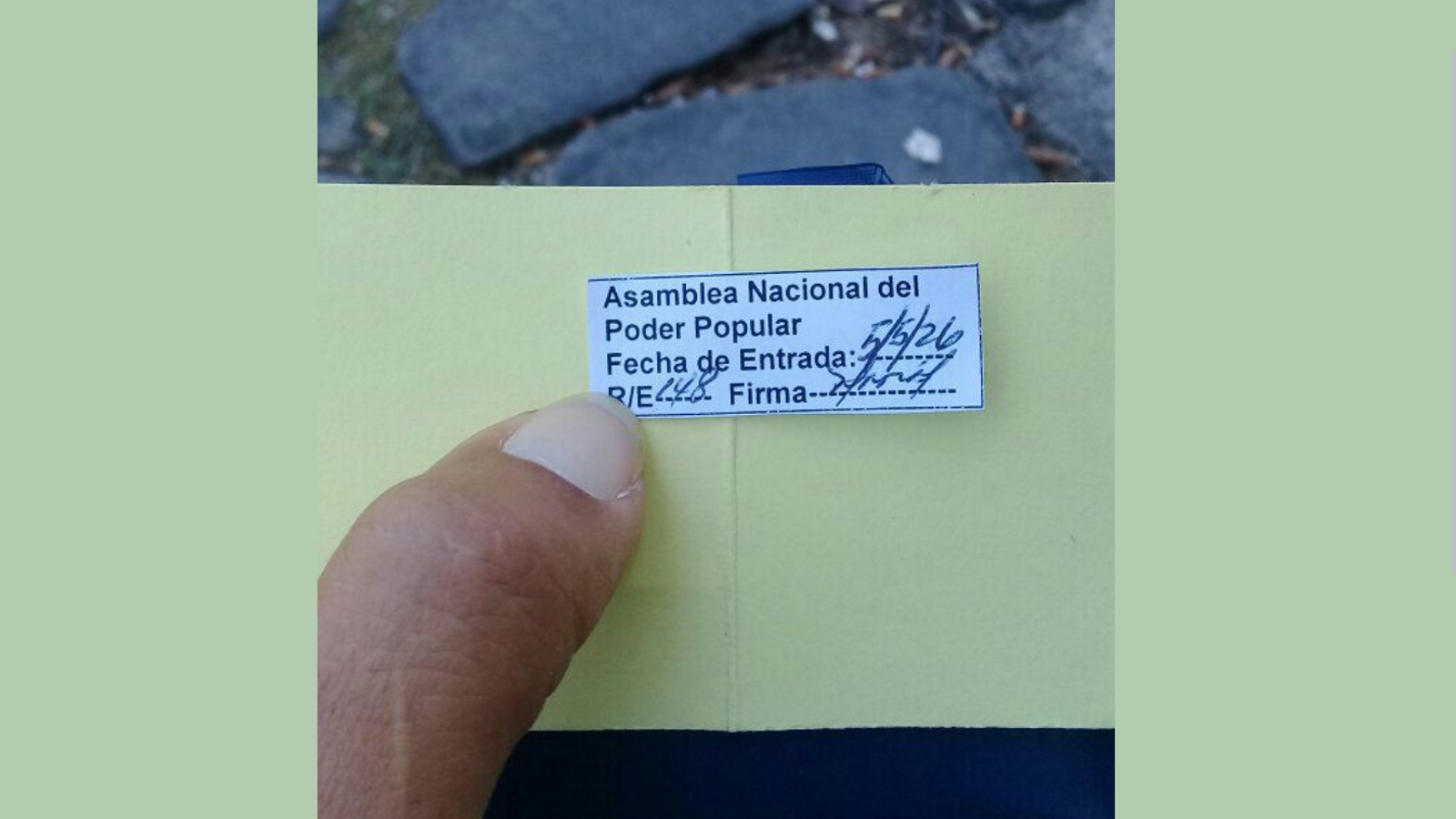 Imagen publicada por Escalona del registro de su petición.