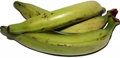 Plátano macho
