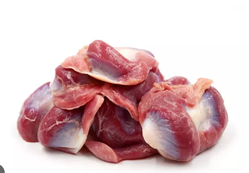 IMAGE 2025 02 15 3:12:46 p.m.