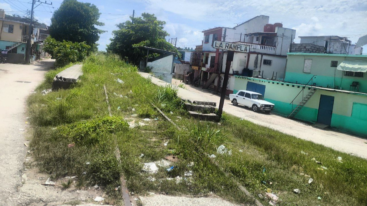 Where the trains used to pass now only weeds grow
